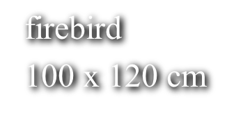 firebird 100 x 120 cm